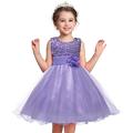 Kinder Wenig Mädchen Kleid Blumen Solide Blume Tüll-Kleid Party Pailletten Mehrlagig Purpur Fuchsie Rosa Ärmellos Prinzessin Süß Kleider Herbst Frühling Schlank 3-12 Jahre