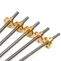 Vite di comando T6 in acciaio inossidabile 304 Passo 1 mm Piombo 1 mm 2 mm 4 mm 6 mm con dado in ottone 100/150/200/250/300/400/500/550 mm Vite di comando