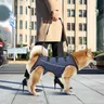 Pettorina per cani imbracatura regolabile per cani imbracatura per imbracatura lesioni per cani