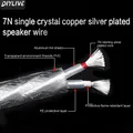 DIYLIVE HiFi Lipton placcato argento 2 core cavo altoparlante febbre HIFI altoparlante centrale cavo