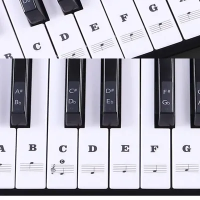 Piano Training Stickers For 37/49/54/61/88 keys Transparent PVC Piano Key Decal Removable Keyboard