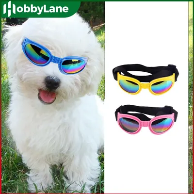 Pet Dog Outdoor Sunglasses Summer Windproof Foldable Sunscreen Anti-Uv Goggles Pet Supplies Pets