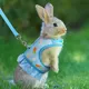 Rabbit Harness with Leash Cute Adjustable Buckle Breathable Mesh Vest Skirt for Bunny Guinea Pig