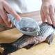 Fish Scales Graters Scraper Fish Cleaning Tool Scraping Scales Device with Cover Home Kitchen