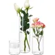 Glass Vase Flower Pot Hydroponic Transparent Vases for Flowers Dried Flower Arrangement Bottle Vase