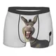 Men Donkey From Shrec Movie Underwear Humor Boxer Briefs Shorts Panties Male Soft Underpants