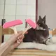 Silicone Pet Rabbit brush Cat Grooming Comb Fur Brush for Guinea Pig Chinchilla Cleaning Grooming