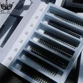 2000 Fans 0.05 Handmade 8-16D Rapid Mega Storage Lash Tray 1000 Fans Pointy Base Promade Volume Fans