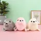 23cm Soft Seal Plush Toys Cute Sea World Animal Stuffed Doll Sea Lion Plush Children Gift Sleeping