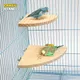 Fan-shaped Bird Parrot Wooden Stand Rack Bird Cage Accessories Perch for Small Animal Chinchilla