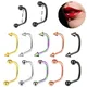 1PCS Stainless Steel Lippy Loop Larbet Ring 16G Lip Piercing Hoop Jewelry Stud Piercing Ball Cone U