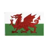 90x150 CM bandiera gallese galles Red Dragon Cymru UK World Country Flags