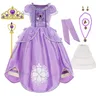 Luxury Sofia the First Girls Princess Ball Gown Kids Carnival Role Play TV Sofia Intern Princess