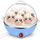 7 Eggs Boiler Steamer Multi Function Rapid Electric Egg Cooker Auto-Off Generic Omelette Cooking