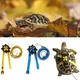 Adjustable Outdoor Pet Harness Training Soft Strap Tortoise Reptile Adjustable Leashes Reptile