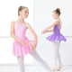 Ballet Dress Girls Toddler Ballet Skirted Leotard Pink Gymnastics Leotard Dress Camisole Leotards