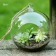 Hanging Glass Ball Succulent Tabletop Tealights Terrarium Vase Candles Wedding Celebration Container