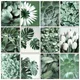 Modern 5D DIY Diamond Painting Green Plant Mosaic Embroidery Leaf Flower Cross Stitch Wall Art Home