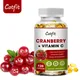 Catfit Nature & Organic Cranberry Extract Antioxidant Supports Urinary System / Bladder function