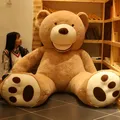 Huge Size 160cm/200cm American Giant Bear Skin Teddy Bear Coat Good Quality Cheap Price Soft Plush