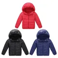 Lightweight Down Puffer Jacket Coat for Boys Girls Insulated Quilted Bubble Puffer with Hooded