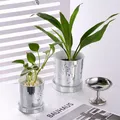 Creative Glass Lens Flowerpot Silver Disco Ball Succulent Plant Basket Plastic Glass Mirror Planting