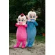 Both Girl And Boy party mascot costume hot sale props performance Outfits activities Cute Bear Doll