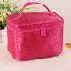 5 colors New Women Makeup Bag Cosmetic Bags Women Ladies Beauty Case Cosmetics Organizer Toiletry