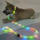 Pet Dog LED Light UP Leash USB Rechargeable PVC With Webbing Glowing Pet Leash Light Up Puppy Dog