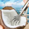 Coconut Meat Scraper Stainless Steel Coconut Planer Coconut Meat Planer Eating Coconut Meat Artifact