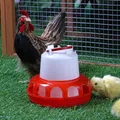 Automatic Chicken Water Feeder Bucket with Cover Quail Pigeon Feeder Chicken Feeding Bucket Poultry