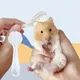 1Pc Pet Grooming Brush Guinea Pig Cleaning Tools Hedgehog Massage Combs Hamster Bathing Combs