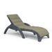 Wildon Home® 1 - Piece Outdoor Sunbrella® Seat/Back Cushion in Green/Brown | 0.5 H x 23 W x 74 D in | Wayfair C87EFDAC9C9B434D8D97E9EC521C3AD9