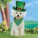 The Holiday Aisle® Realistic Bichon Frisé St. Patrick's Day Outdoor Garden Stake, Metal | Wayfair B13FD4EF674846DE90C62AE1EA0092D0