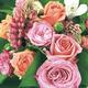 240 Duni Tissue-Servietten 33 x 33 cm Romantic Flowers 3-lagig