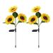 solacol Solar Lights Outdoor Solar Lights For Yard Solar Garden Lights Garden Lights Solar Garden Lights Outdoor Sunflower Lightoos Outdoor 2 Pack Garden Lights Flower Lights For Garden Pathways