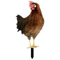 marioyuzhang Rooster & Hen Gardening Stakes Garden Decoration Fun Plug in Rooster Hen Courtyard Plug in Yard Art Garden Outdoor Decoration Plug In Brownish red