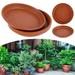 CNKOO 5pcs Plant Saucer Kit 6 8 10 12Inch Plastic Plant Trays Flower Plant Pot Tray Waterproof Sturdy Drip Trays Sturdy Thicker for Garden Indoor Outdoor Pots Planter