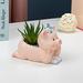 KANY Cute Animals Resin Planter Small Succulent Pot Cartoon Shaped Plant Pot for Plants Flower Cactus Plants Not Included Personality Cute Pig Pot Personality Cute Piglet Potted Plant B