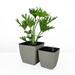 Eco-Friendly Self-Watering Planters - 2 Pack - 2-Pack - 6.0 - Elevate your plants with style and ease!