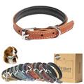 Filbert Padded Leather Dog Collar for Large Dogs Medium & Small Dogs Leather Collar for Dogs Orange Dog Collar +12 Colors Genuine Leather Dog Collars + Leather Lining Luxury Dog Collar