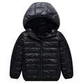 Kids Unisex Hoodie Jacket Outerwear Kids Puffer Jacket Solid Color Long Sleeve Zipper Coat Outdoor Adorable Daily Royal blue cotton jacket black cotton coat Orange cotton jacket Spring Fall 7-13 Years