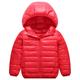 Kids Unisex Hoodie Jacket Outerwear Kids Puffer Jacket Solid Color Long Sleeve Zipper Coat Outdoor Adorable Daily Royal blue cotton jacket black cotton coat Orange cotton jacket Spring Fall 7-13 Years