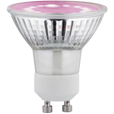 LED-Pflanzenlampe Wachstum 230 v GU10 3.5 w Bernstein 1 St. - Paulmann