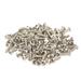 100PCS Guitar Pickguard Screws Metal Guard Plate Mounting Screw Electric Guitar Bass Accessories Silver