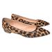 J. Crew Shoes | J. Crew Calf Hair Leopard Print Pointed Toe Flats | Color: Brown/Tan | Size: 9.5