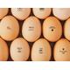 EGG STAMP, Custom Egg Stamp, Chicken EGG Stamp, Egg Stamps, Egg Labels, Mini Egg Stamp, Farm Stamp, Eggs Stamp, Fresh Egg Stam