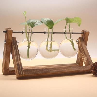 Creative Wooden Shelf Hydroponic Flower Bottle Green Carrot Glass Container