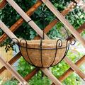 Wall Planter Outdoor Large Wall Hanging Flower Basket with Liner Vertical Living Wall Mounted Wire Pot Outside Fence Railing Plant Pots Holder Deck Porch Balcony Patio 10 inch