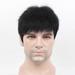 Daily Natural Cosplay Party Full Wigs Mens Short Black Brown Hair Wig Synthetic